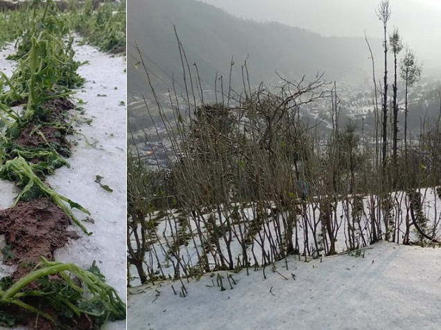 असिनाले सिध्यायो किसानको पसिना